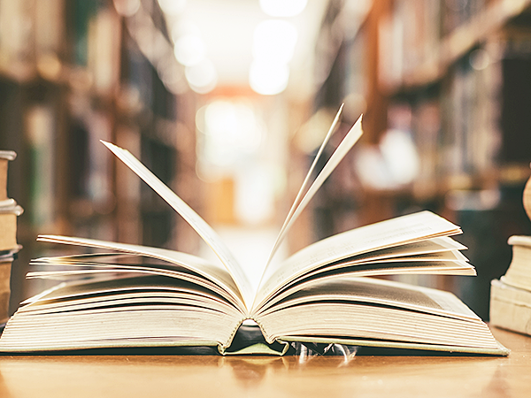 契約書のコンテンツ